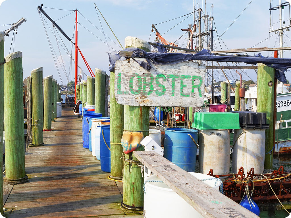 fishing docks in Maine with lobster sign