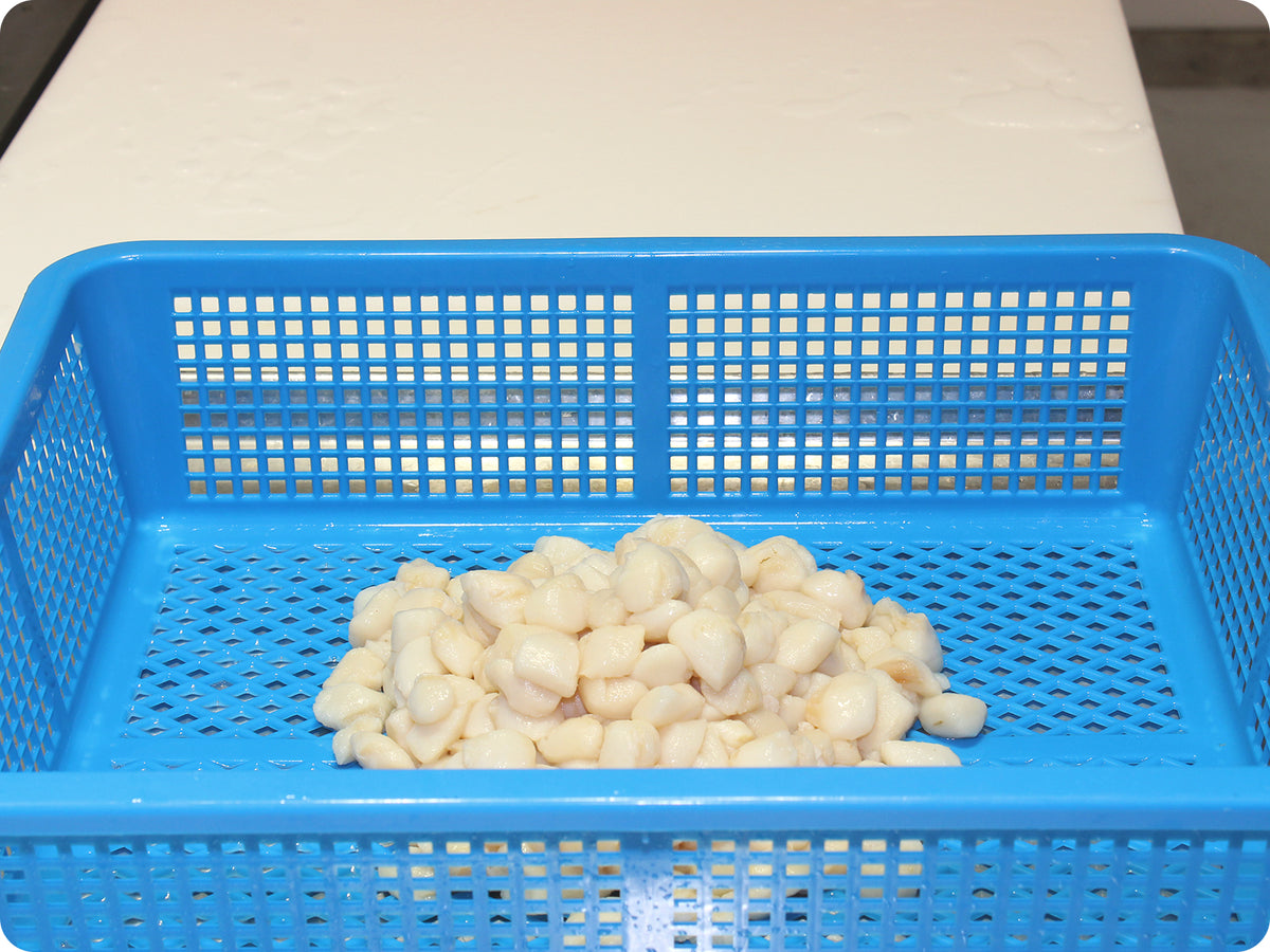 Bay Scallops by the pound Epicurean Seafood