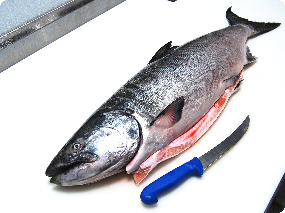 Fresh Whole Wild King Salmon by the pound