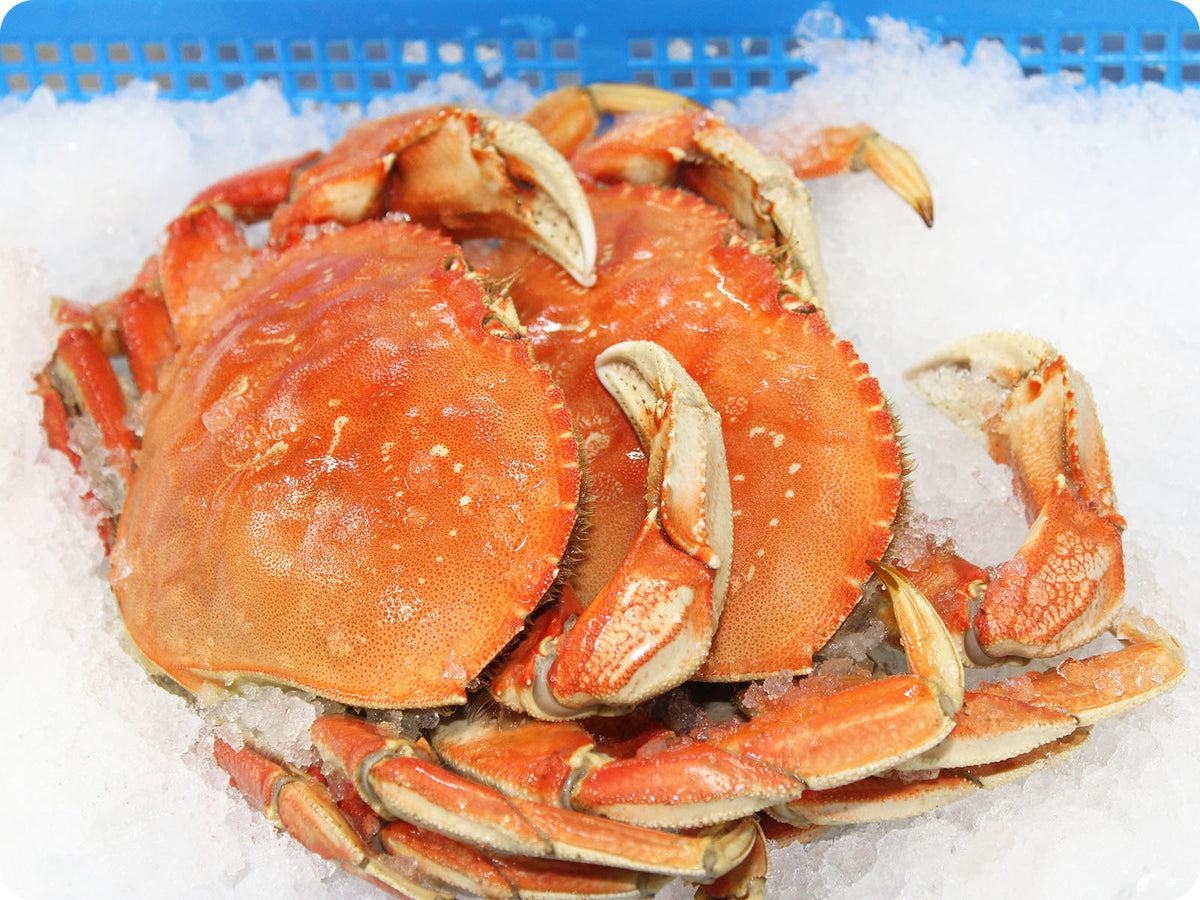 Dungeness Crab (whole-cooked, fresh) by the 2-pound crab – Epicurean