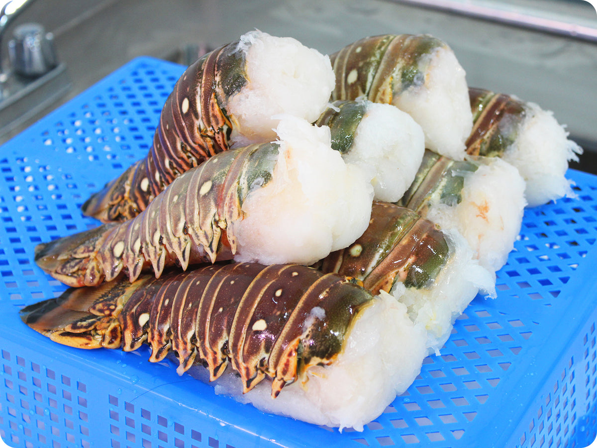 16 Oz Lobster Tail