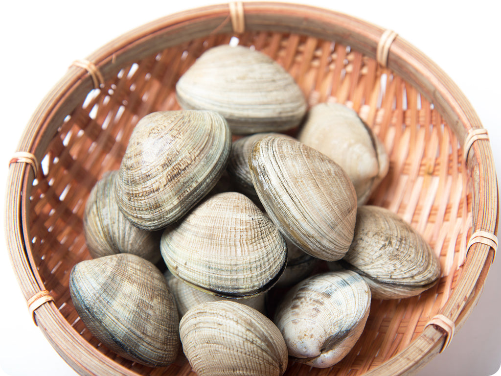 Live Manila Clams placed in a woven baskt.