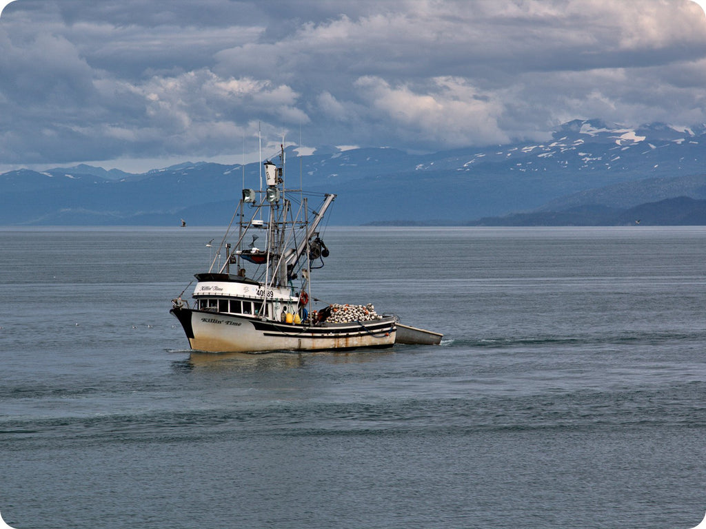 Fishing Seiner in Alaska