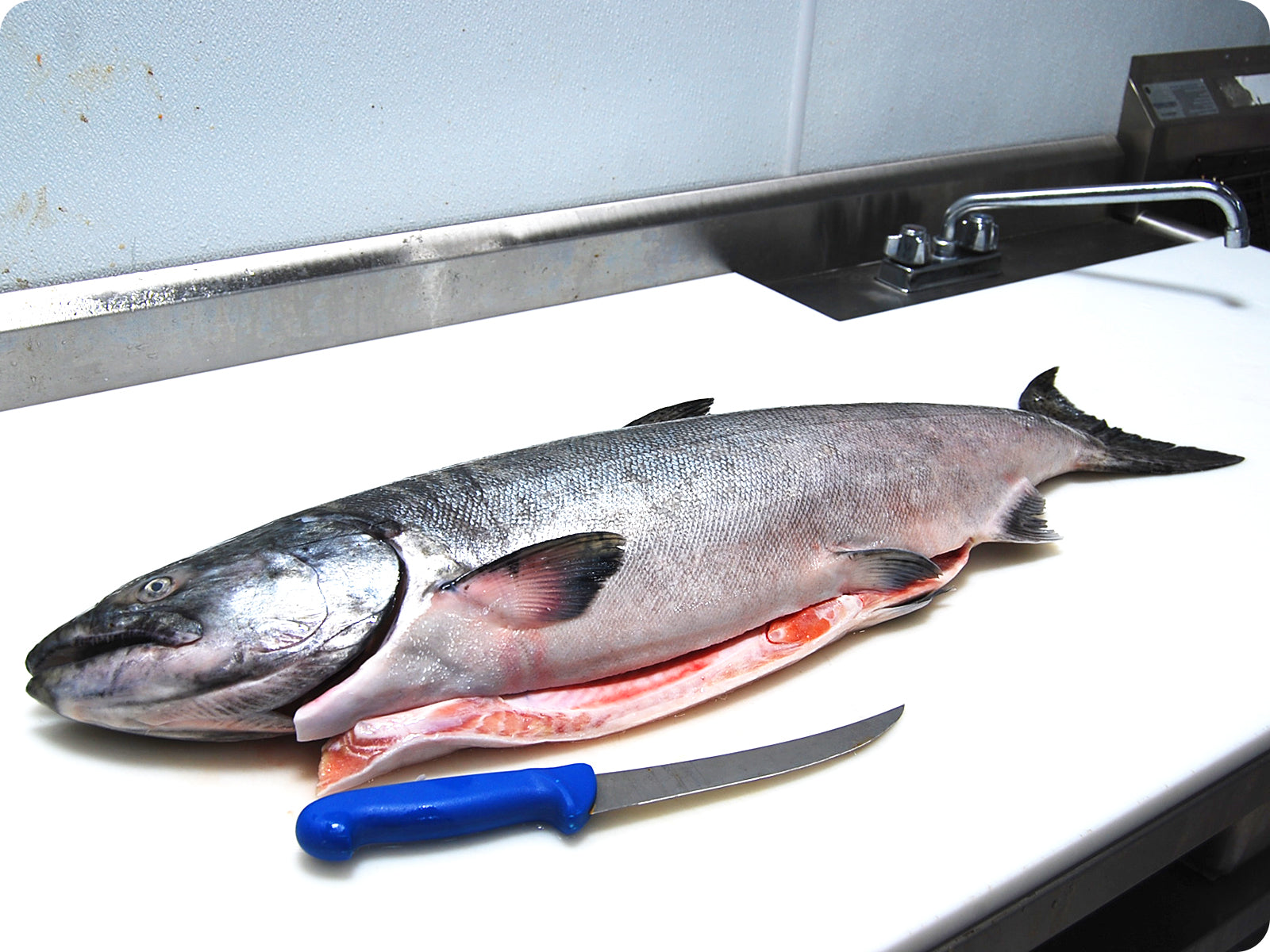 Fresh Whole Wild King Salmon by the pound – Epicurean Seafood
