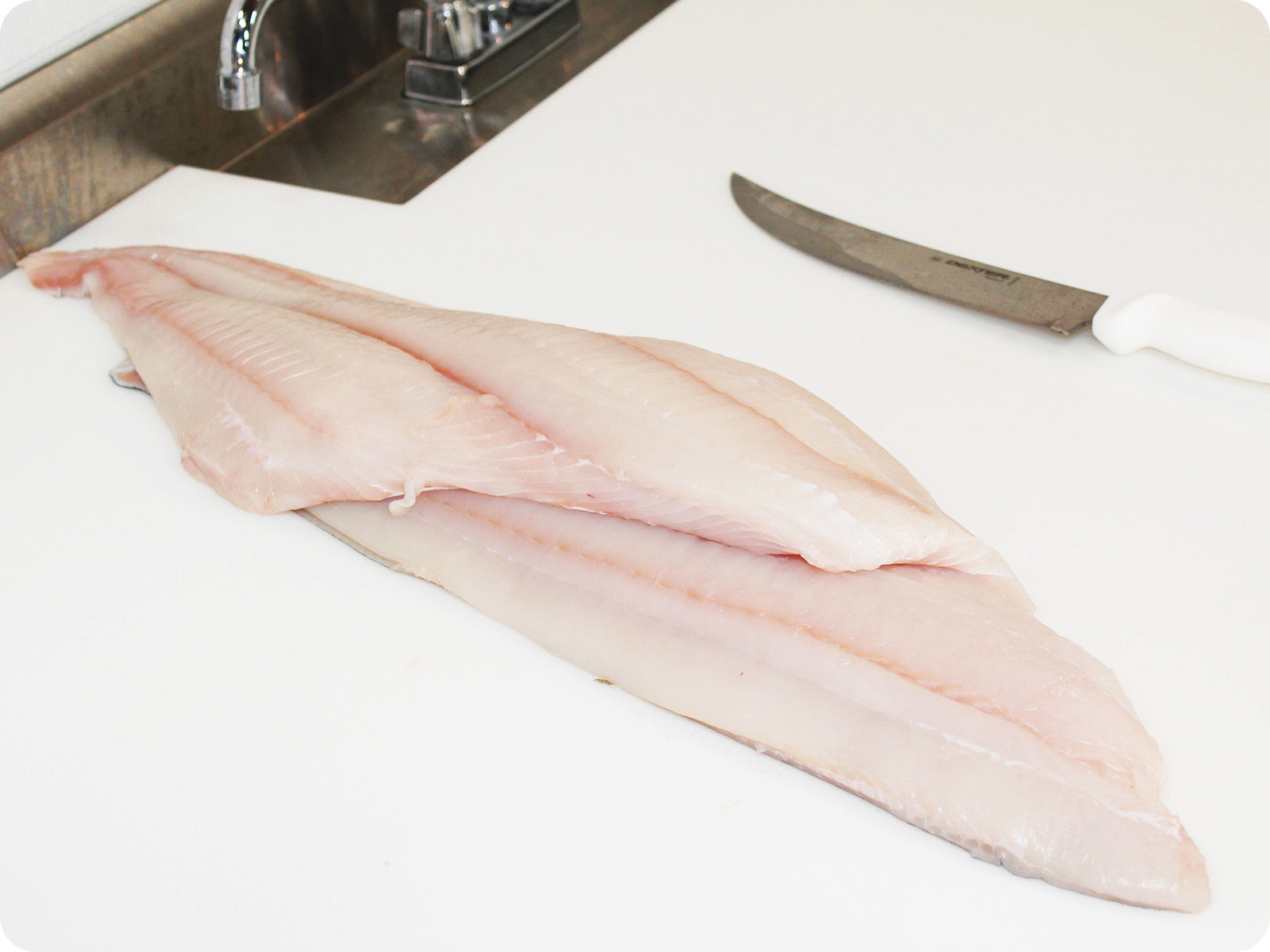 Hal Filet Halibut Fillet