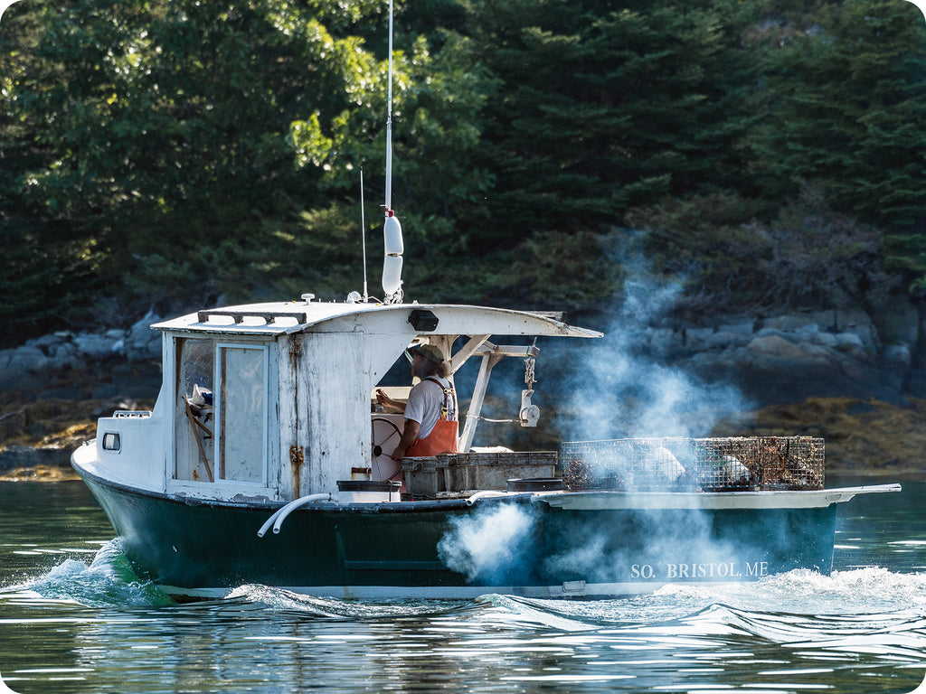 A small green and white boat with lobster pots on the stern, glides down the coastline somewhere in Maine.