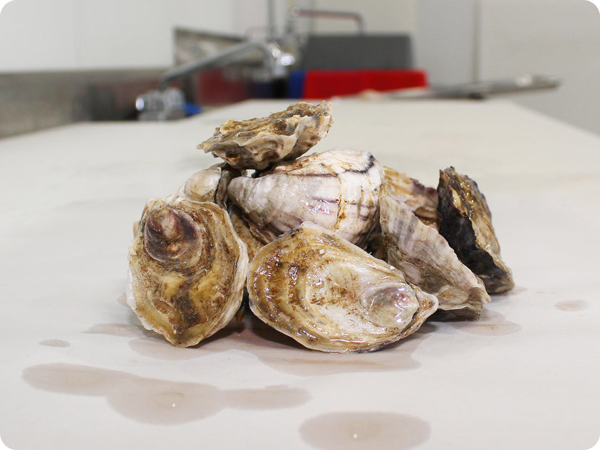 Oishi Oysters by the dozen Epicurean Seafood