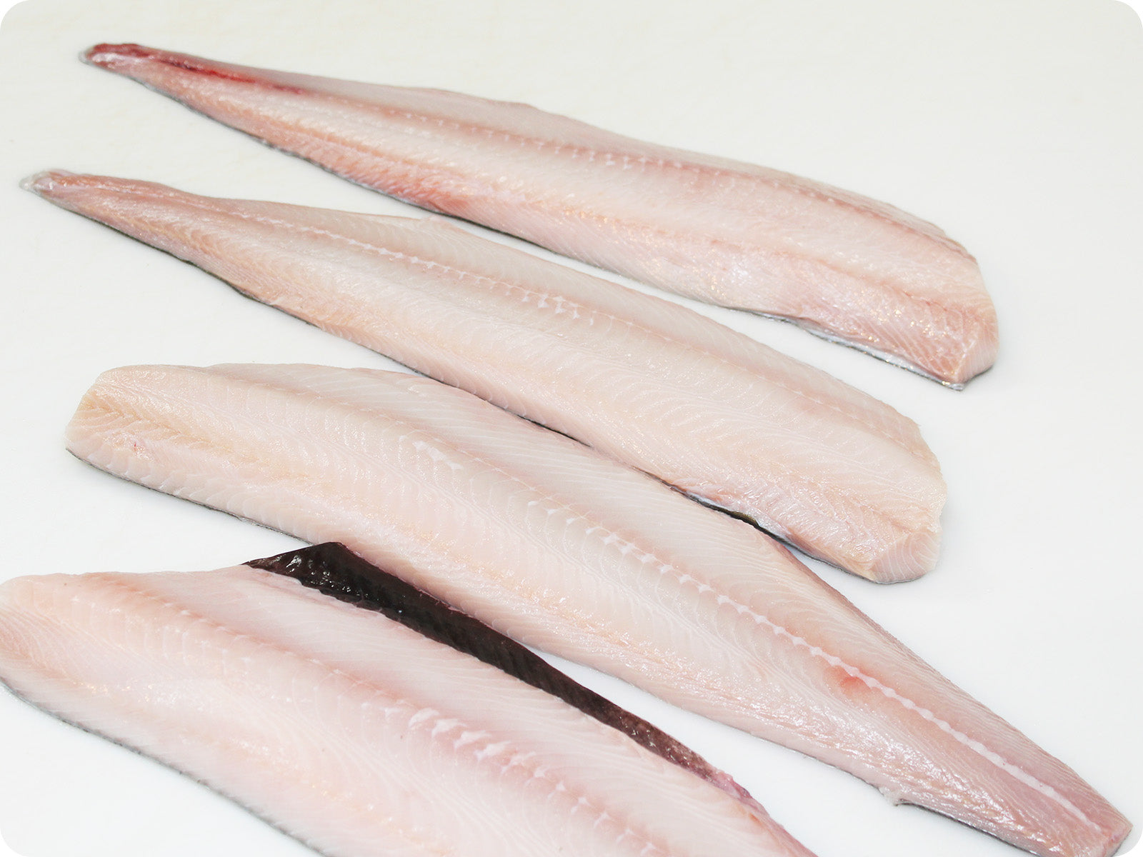 Dog Cod Filet Cod Fillet
