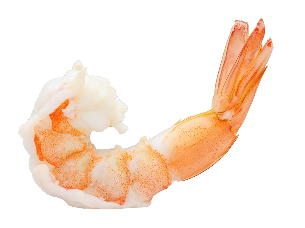 A cooked Tiger Shrimp, with head and shell removed, is curled on its side with its tail on.