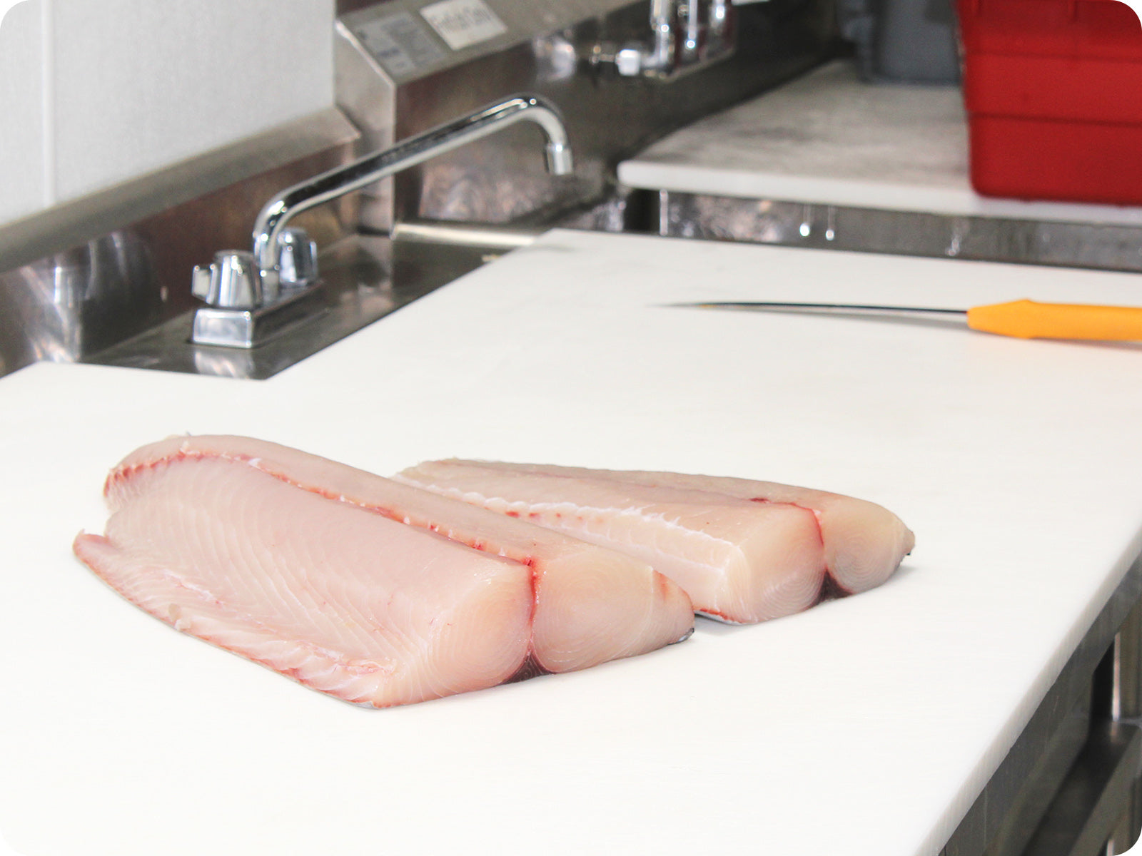 Wahoo Meat Color Wahoo Fish Meat