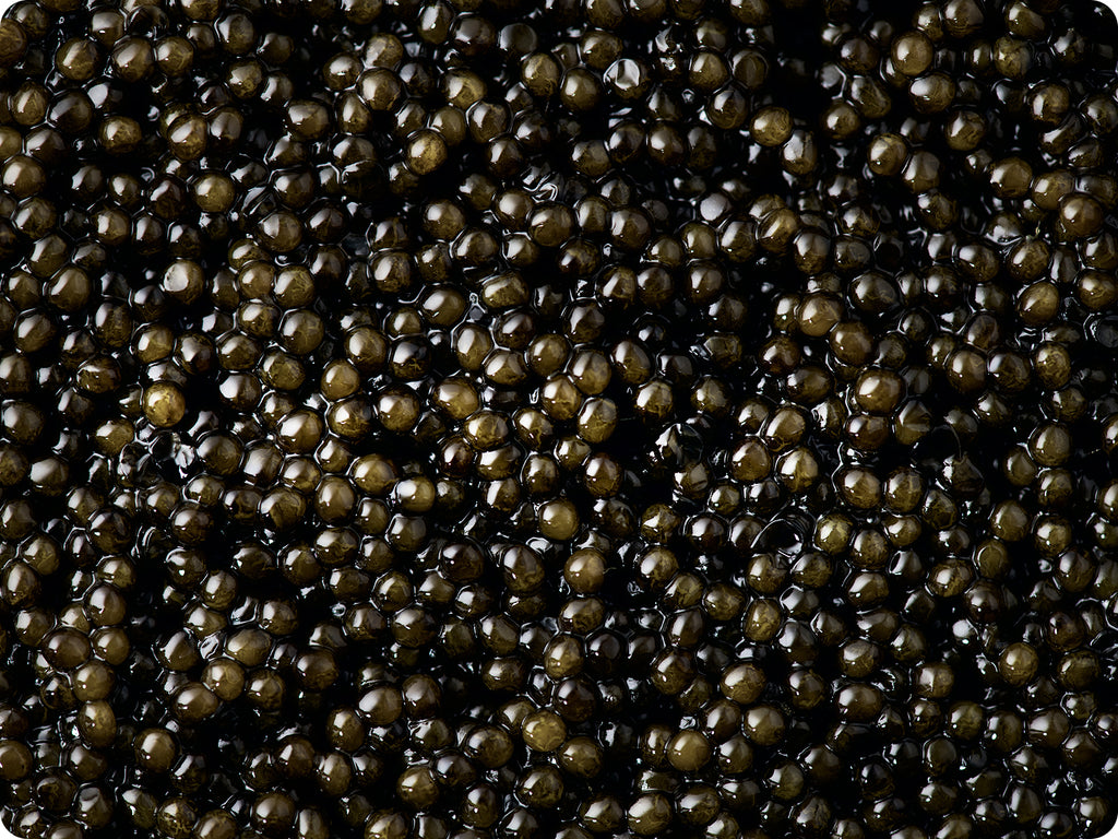 Osetra Caviar with a range of color from olive to an almost black in the form of shiny gelatinous balls.