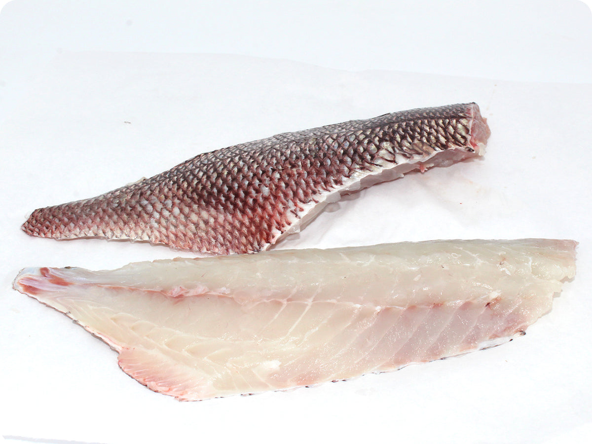 Queen Snapper Fillet
